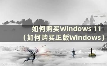 如何购买Windows 11（如何购买正版Windows）